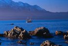 Kaikoura 10197.jpg